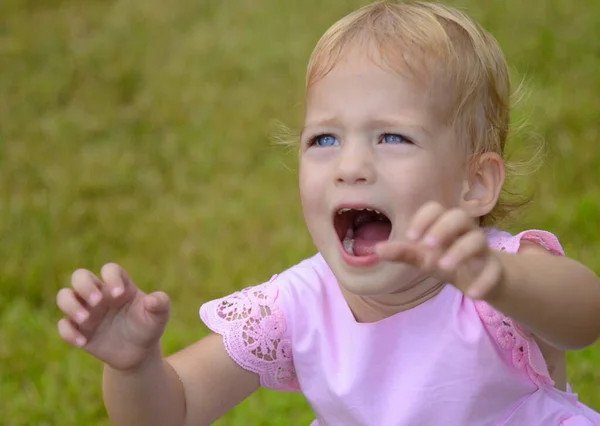 Niña Está Llorando Retrato Una Niña Dos Años Caprichos Infantiles — Foto de Stock