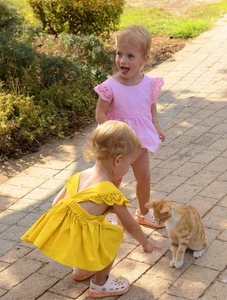 Cute Twin Sister Girls Two Years Old Play Ginger Kitten — Photo