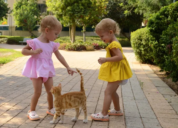 Cute Twin Sister Girls Two Years Old Play Ginger Kitten — Stock fotografie