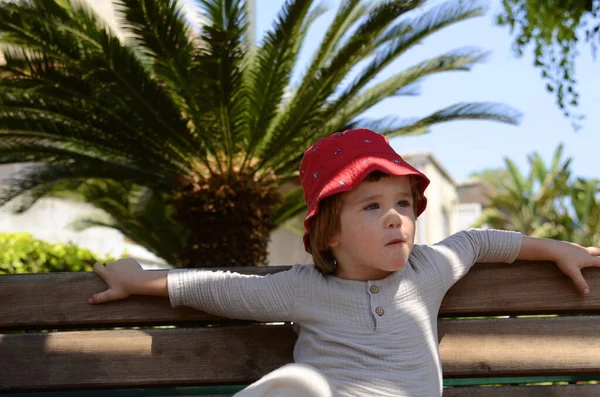 Cute Funny Little Boy Sitting Bench Palm Tree Portrait Child — ストック写真