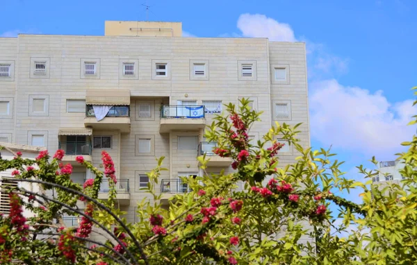 Beautiful residential building surrounded by a garden. Modern housing. Israel - high-rise building, flowering and palm trees. Concept: nice place to live, real estate purchase