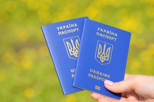 Passport of Ukraine. The hand holds a two  Ukrainian biometric foreign passport. Concept: travel, citizenship, emigration