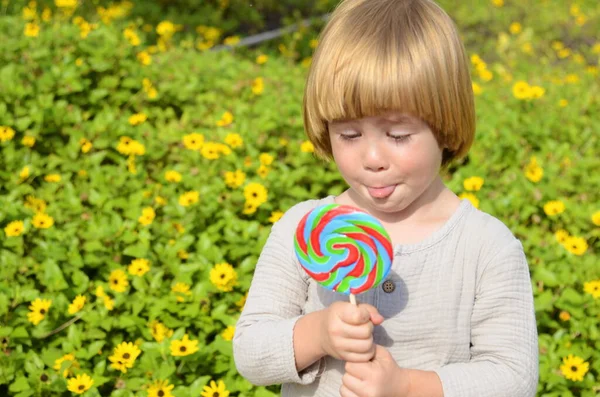 Emotions Child Portrait Little Positive Boy Big Candy Stick Multi — Foto de Stock