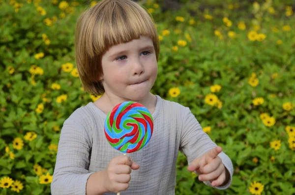 Emotions Child Portrait Little Positive Boy Big Candy Stick Multi — Stockfoto