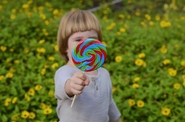 Emotions Child Portrait Little Positive Boy Big Candy Stick Multi — Zdjęcie stockowe