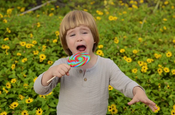 Emotions Child Portrait Little Positive Boy Big Candy Stick Multi — Stockfoto