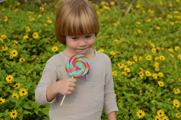 Emotions Child Portrait Little Positive Boy Big Candy Stick Multi — Stok fotoğraf