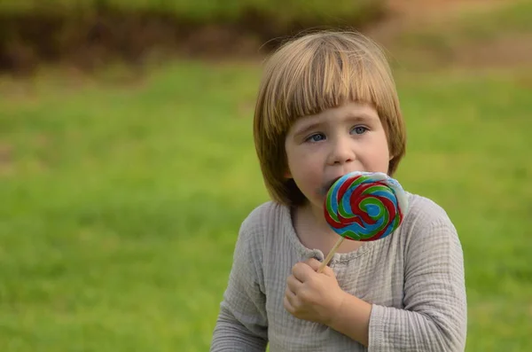 Emotions Child Portrait Little Positive Boy Big Candy Stick Multi —  Fotos de Stock