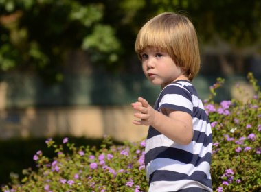 Cute boy, smilling. Close-up portrait against the background of violet flowers. Little boy with beautiful hair