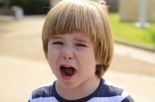 Portrait Crying Boy Little Cute Boy Naughty Child Naughty Screaming — Foto de Stock