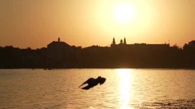 The dark silhouette of the city in the golden light of the sunset. Sunset over the lake, a large seagull flies over the water