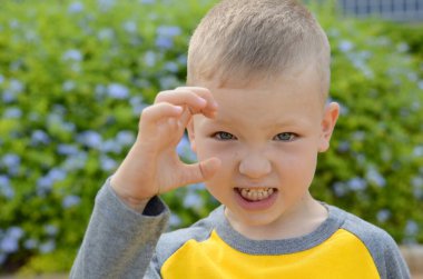 Portrait of a boy, five years old. school age child. Children's emotions on the face, joy, surprise, interest. Close-up, cute boy, blue eyes. blue flowers in the background
