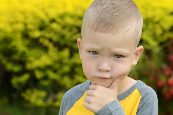 Portrait Boy Five Years Old School Age Child Children Emotions — Stock fotografie