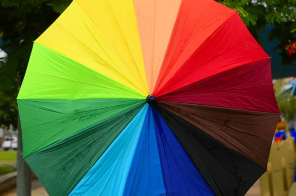 Bright colored rainbow umbrella in the rain in the park/ Multi-colored colorful umbrella with all colors of the rainbow with raindrops.
