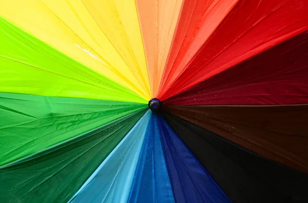 Bright colored rainbow umbrella in the rain in the park/ Multi-colored colorful umbrella with all colors of the rainbow with raindrops.