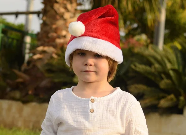 Portret Pozytywnego Dzieciaka Czapce Świętego Mikołaja Pod Palmą Nowy Rok — Zdjęcie stockowe