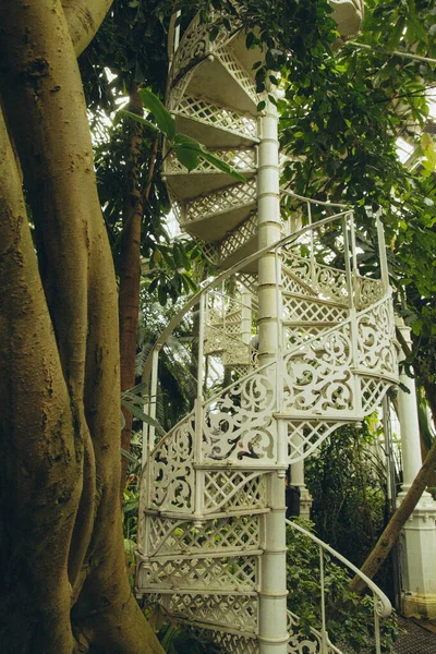 Tropical Garden White Circular Stairs Tree Greenhouse Vertical — Stok fotoğraf