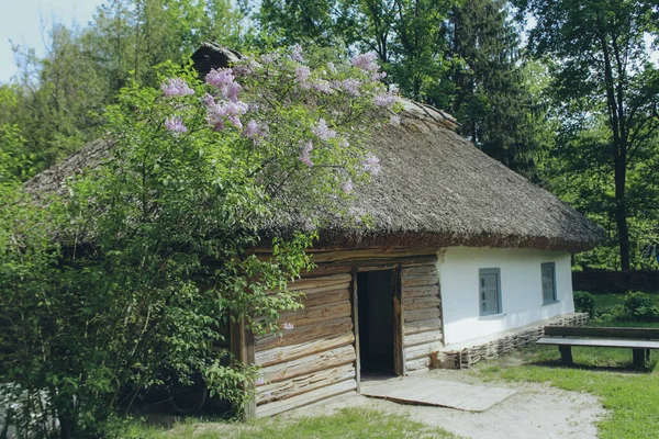 Український Старий Будинок Очеретяним Дахом Дерев Яна Лавка Перед Вікном — стокове фото