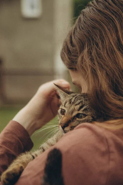 茶色の髪の女の子は猫の手を縦にストロークします — ストック写真