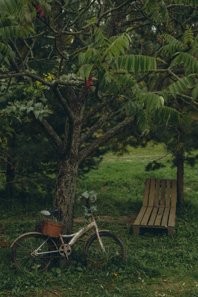 Tahta Karyola Bisiklet Durağı Dikey Yeşil Bir Bahçede — Stok fotoğraf