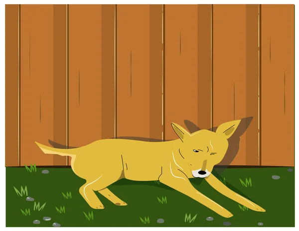 Sad Dog Lying House Grass — Stockový vektor