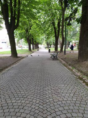 Ağaçların arasında taş geçit