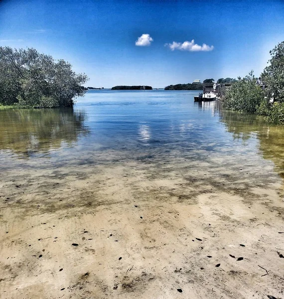 Yüzeysel Florida Körfezi