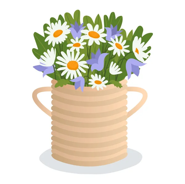 Pot avec plante verte maison, concept fleur de champ en illustration vectorielle de dessin animé pot de fleurs, isolé sur blanc. Belle camomille fleurie. — Image vectorielle