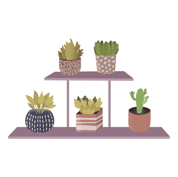 Hylla hem blommig hylla, organiska gröna växter kaktus blomkruka, koncept grönska burk platt vektor illustration, isolerad på vit. — Stock vektor