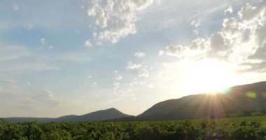 Güney Fransa 'daki Alaric Dağı' nda, Corbires Massif 'teki şarap rotasında gün batımını hızlandırdı..