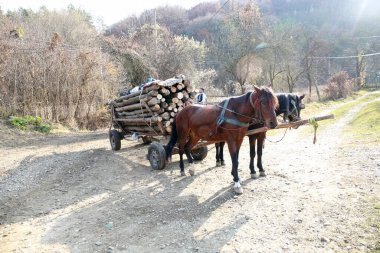 SARATA MONTEORU, ROMANIA - Kasım 06, 2021: Ulusal şampiyonanın GTC Galibiyet Yarışması 'nda bir off-road arabası yarışıyor.