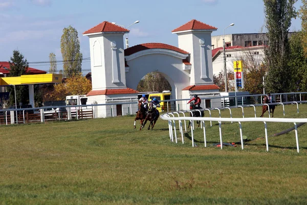 Ploiesti Romania Octubre 2021 Carrera Galope Con Gran Premio Del —  Fotos de Stock