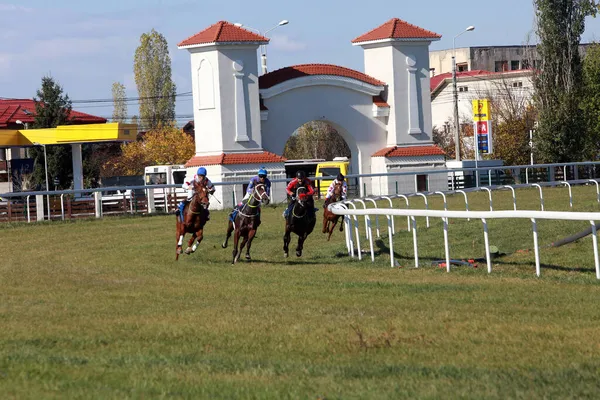 Ploiesti Romania October 2021 Gallop Race Great Prize Jockey Club — Stock Photo, Image
