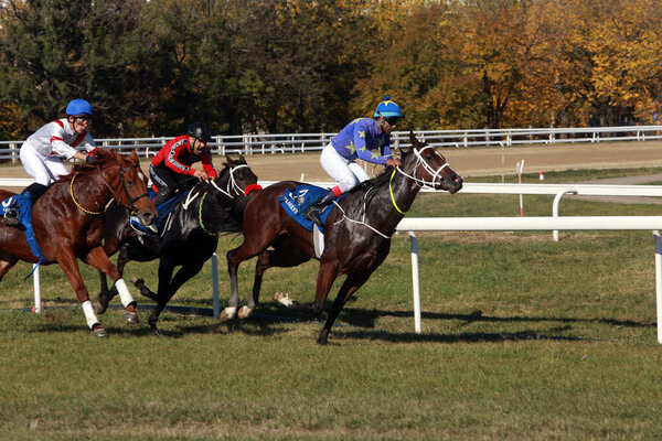 ПЛОХСТИ (РУМЫНИЯ) - 24 октября 2021 года.".