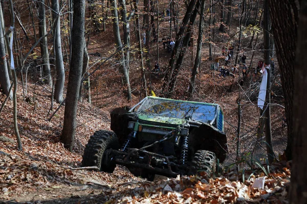 Sarata Monteoru Romania November 2021 Road Car Ravine Competes Gtc — Stock Photo, Image