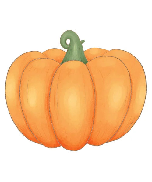 Acquerello Zucca Clipart Zucca Illustrazione — Vettoriale Stock