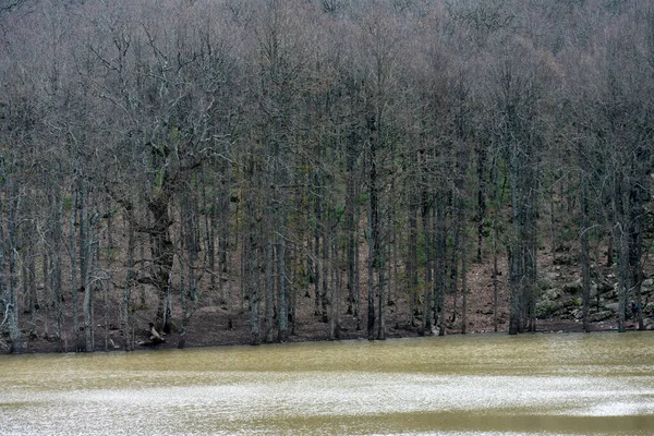 Sonbahar döneminde Akfadou Gölü (lac noir)