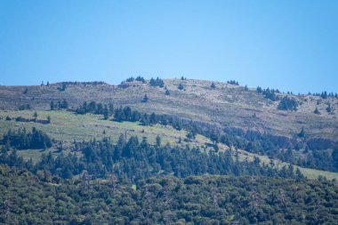 Cezayir 'deki Aures Dağları' ndaki Chelia Ulusal Parkı 'ndan manzara. Mavi Atlas Cedar (Cedrus Atlantica) doğal yaşam alanı