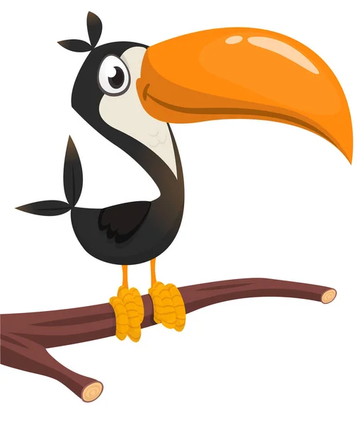 Drôle Dessin Animé Toucan Illustration Oiseaux Vecteurs — Image vectorielle