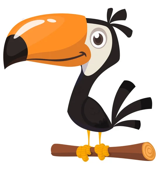 Desenho Animado Tucano Engraçado Ilustração Pássaro Vetorial —  Vetores de Stock