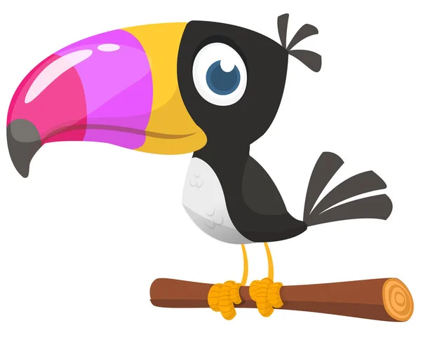 Funny Toucan Cartoon Vector Bird Illustration — Stock Vector
