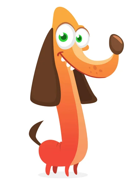 Cartoon Vector Illustration Cute Purebred Dachshund Dog Running His Tail — Vector de stock