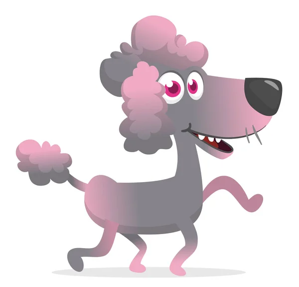 Pretty Cute Cartoon French Poodle Vector Illustration Isolated — Image vectorielle