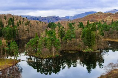Tarn Hows, English Lake District, Cumbria, UK, Reflection, Lake, Trees, Mountains, flat, calm with mirrored reflection