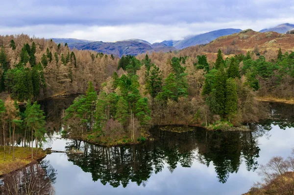 Tarn Hows, English Lake District, Cumbria, UK, Reflection, Lake, Trees, Mountains, flat, calm with mirrored reflection