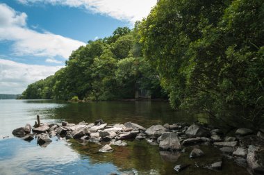 Lake shore with boat house, water's edge English lake district Cumbria