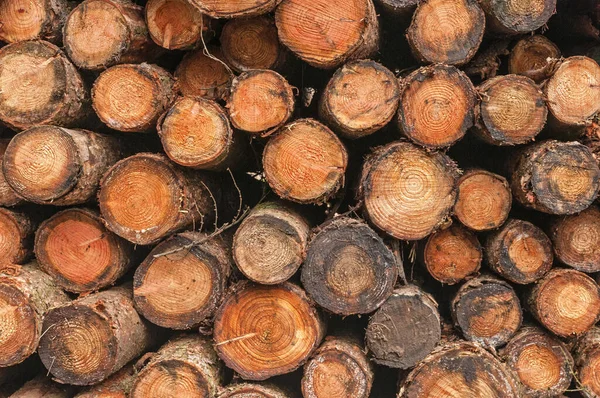 Saw logs stacked, seamless background