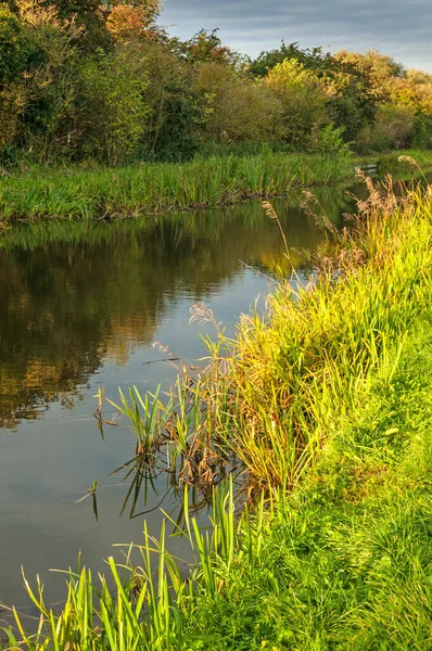peaceful canal, river waterway with green reedy bank and shadow, still water with mirrored reflection,