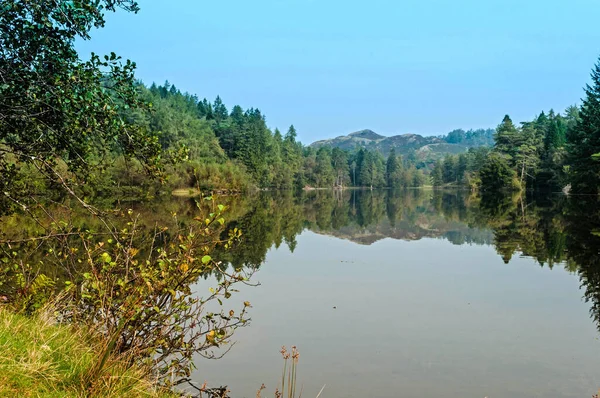Tarn Hows, English Lake District, Trees, Lake and distant mountains., national park, Cumbria,