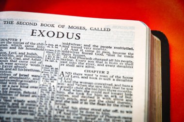 Close up of Holy Bible page, shallow depth of field with focus on book chapter heading, Exodus